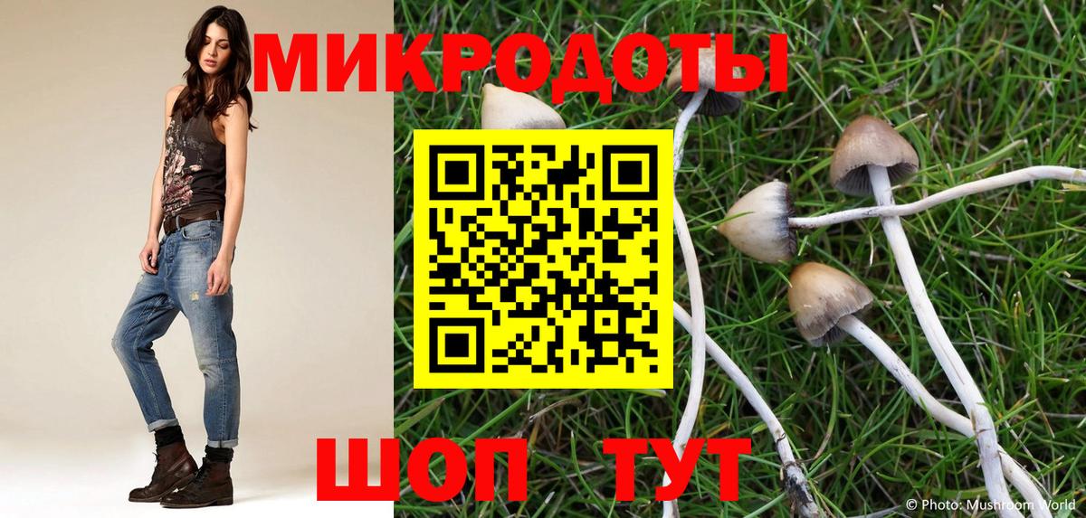 купить наркоту  Вход с VPN  Галлюциногенные грибы ЛСД  Кольчугино  Псилоцибиновые грибы мухоморы 
